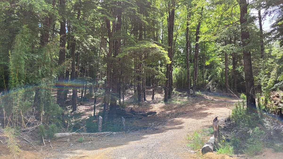 Se vende Hermosa Parcela en Miradores de Huife - Pucn