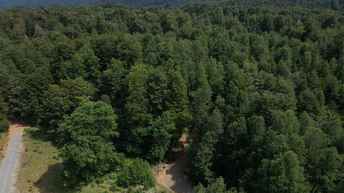 Se vende Hermosa Parcela en Miradores de Huife - Pucn
