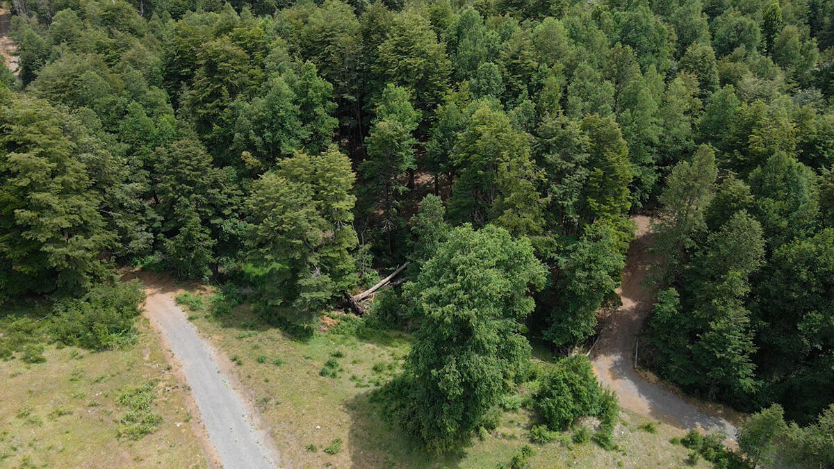 Se vende Hermosa Parcela en Miradores de Huife - Pucn