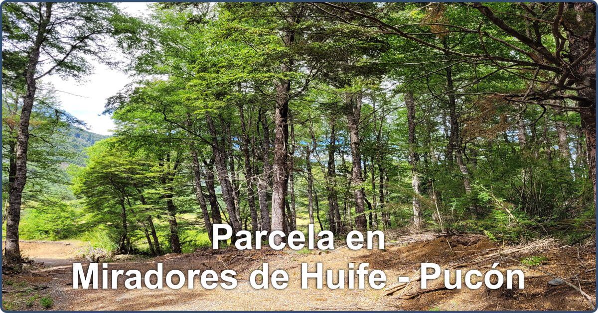 Se vende Hermosa Parcela en Miradores de Huife - Pucn