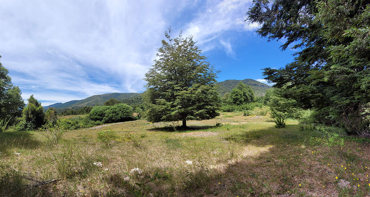Se vende Hermosa Parcela en Llancalil Pucn de 5.000 mts2