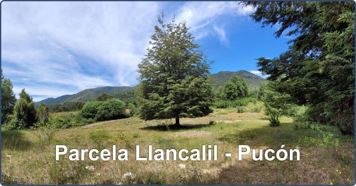 Se vende Hermosa Parcela en Llancalil Pucn de 5.000 mts2