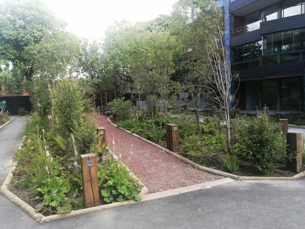  Depto en Arriendo en Pucn 