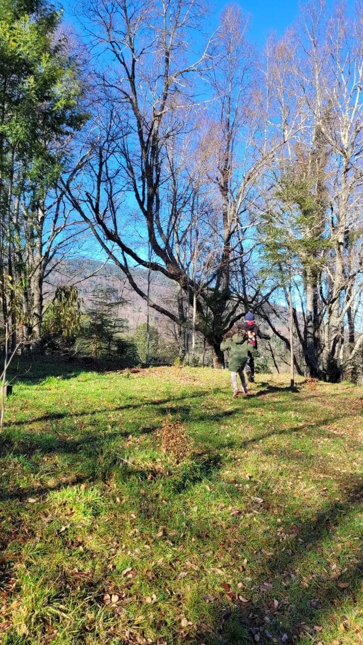  Hermosa Cabaa! en parcela de 5000m2 en Caburgua
 