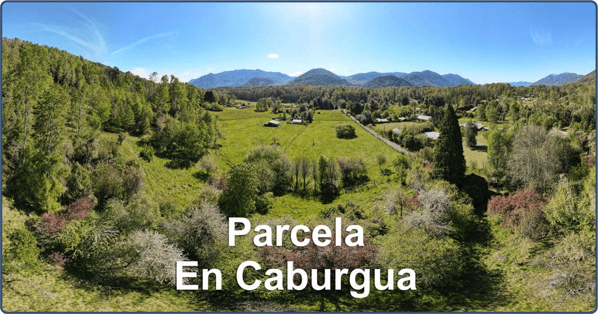 parcela_en_caburgua
