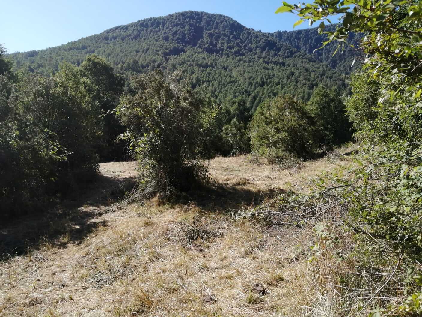 Parcela a Orilla de Rio Huife