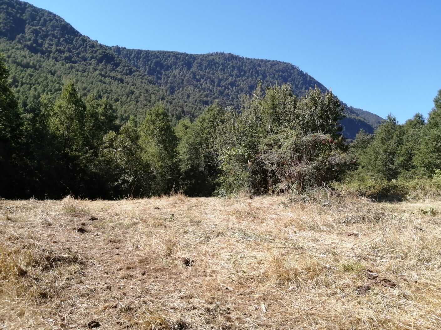 Parcela a Orilla de Rio Huife