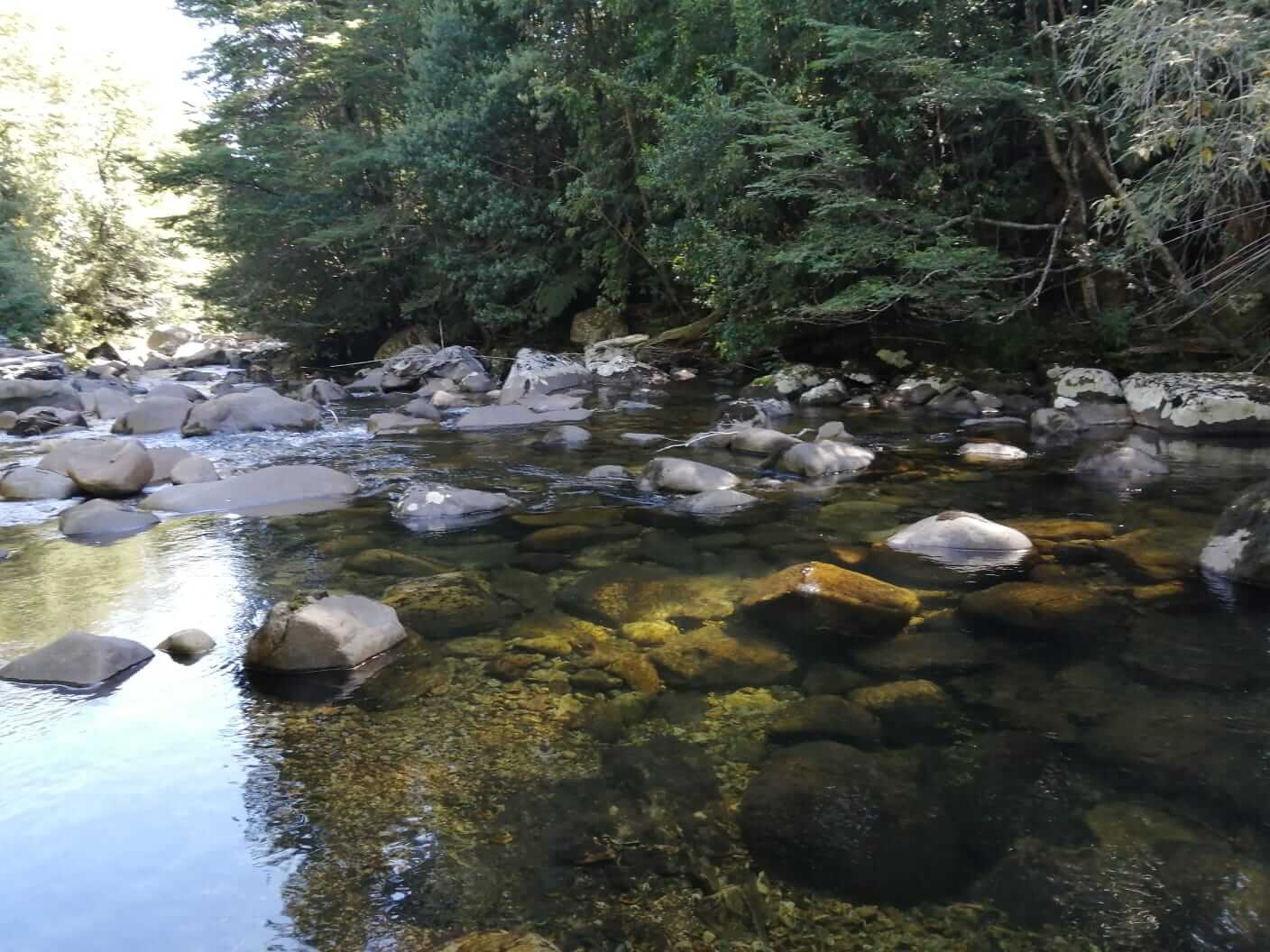 Parcela a Orilla de Rio Huife