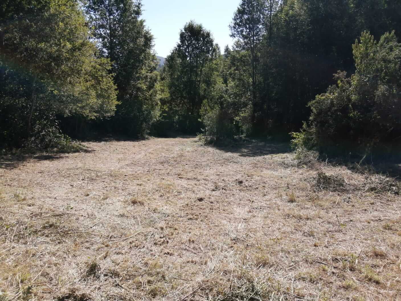 Parcela a Orilla de Rio Huife