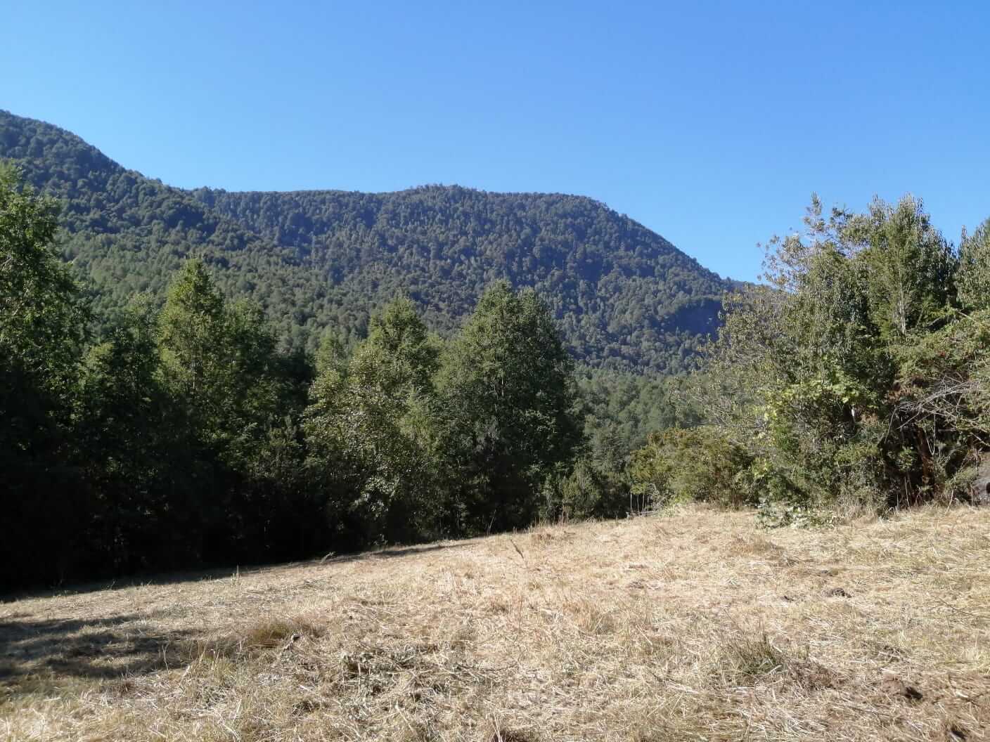 Parcela a Orilla de Rio Huife