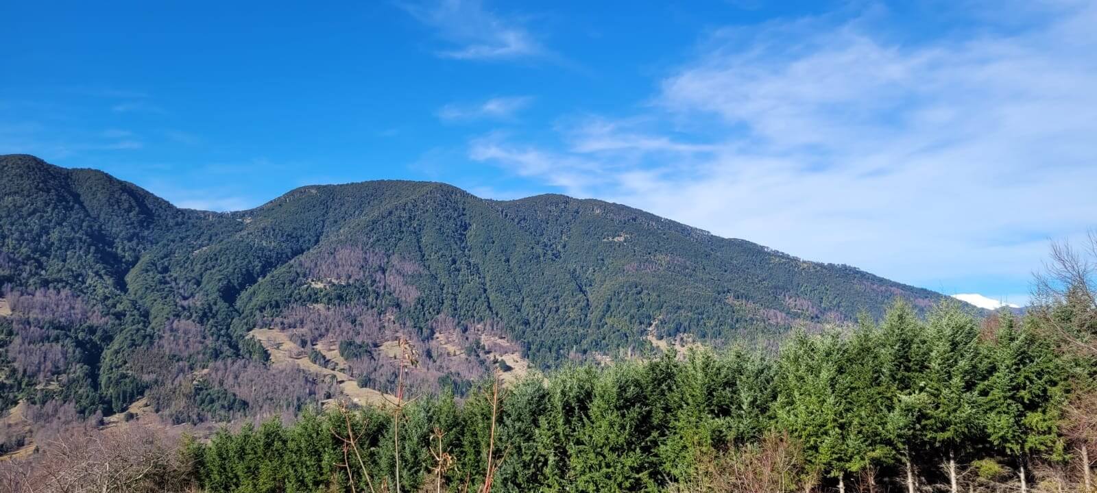  Hermosa parcela en la barda
 
