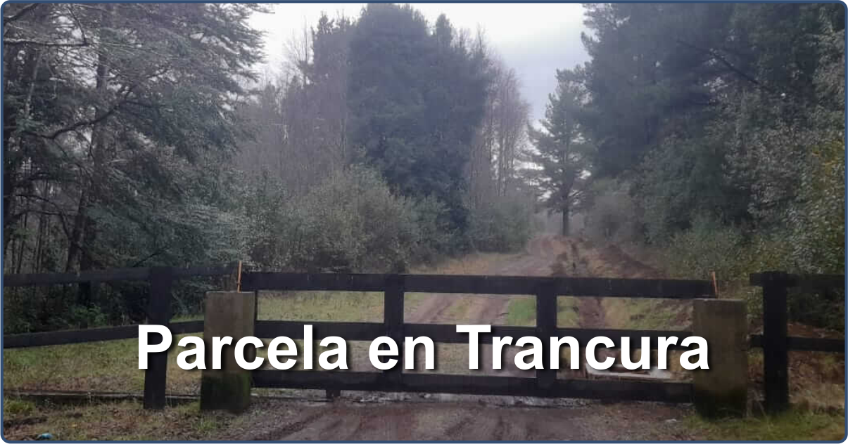 Parcela a orilla de rio